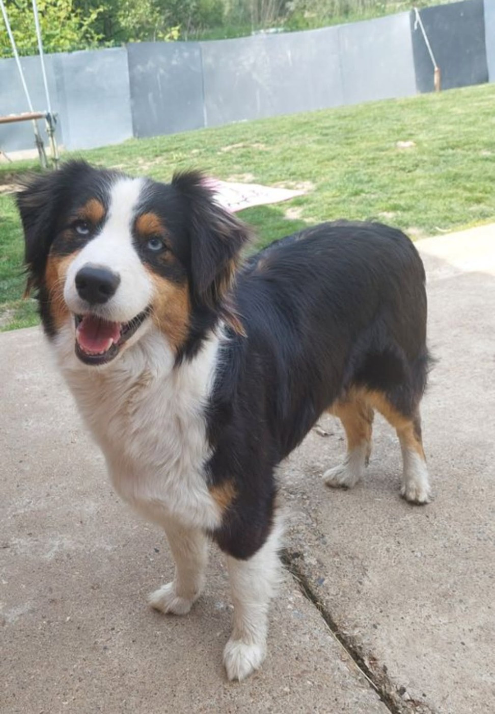 Trinity De La Vallée Des Belles Bleues