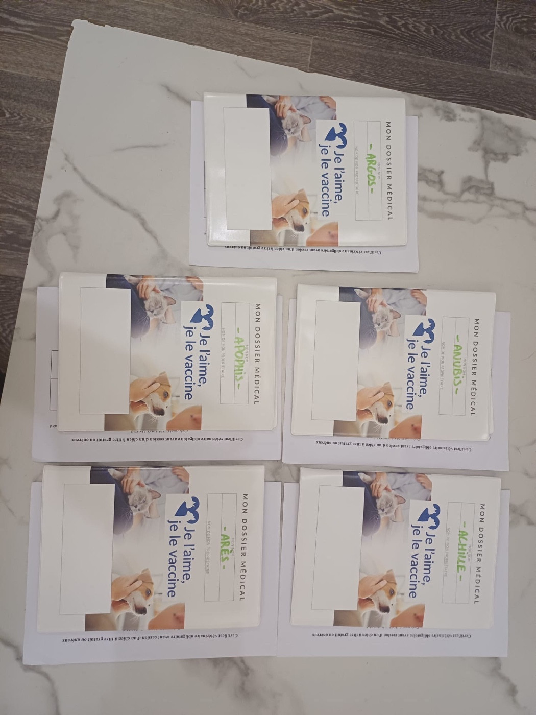 visite chez le veto pour identification et vaccin